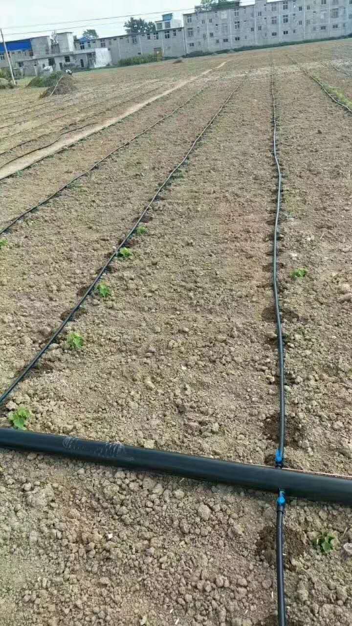 滴灌带价格存在差距的原因