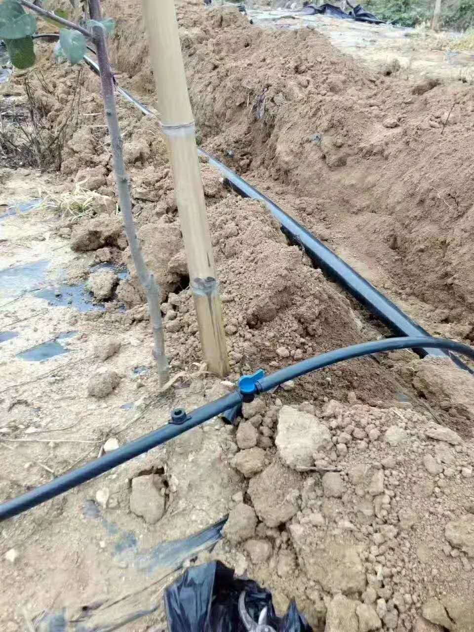 浅谈大田滴灌技术的具体优势性
